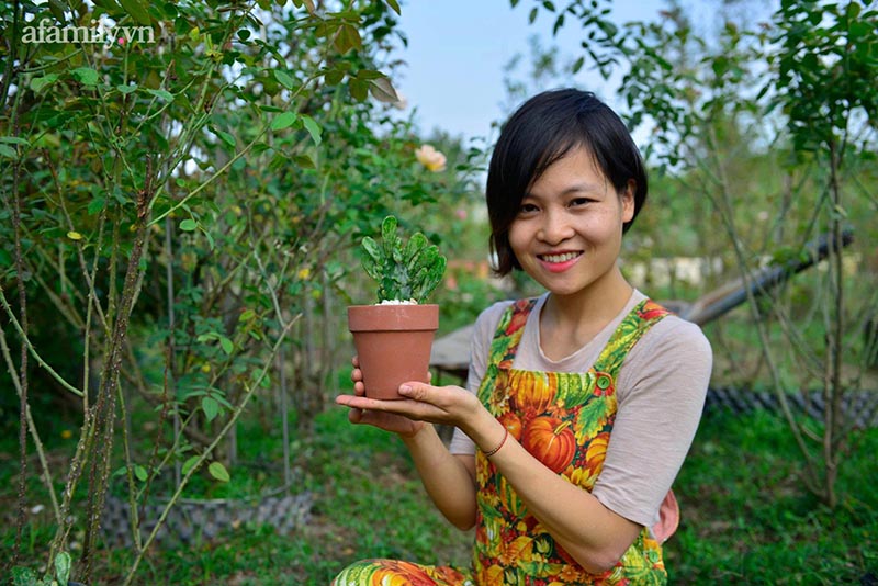 Cây Hoa Giả khởi nghiệp